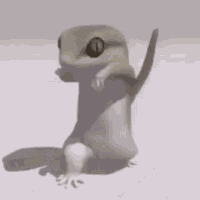 /en/blog/2026/02/17/gecko.gif /en/blog/2026/02/17/gecko.gif